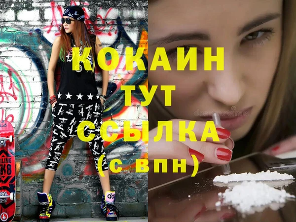 кокс Бородино