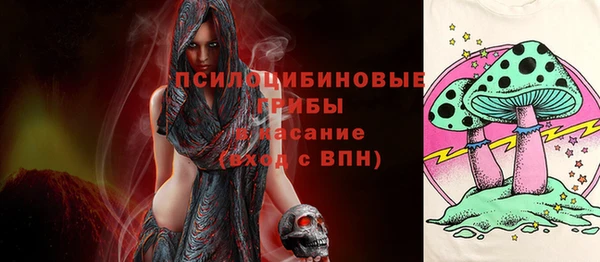 кокс Бородино