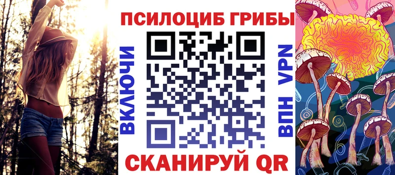 Псилоцибиновые грибы Magic Shrooms  Купить где  Чёрмоз 